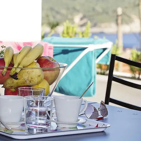 Appartement Palace 1 Djardin *