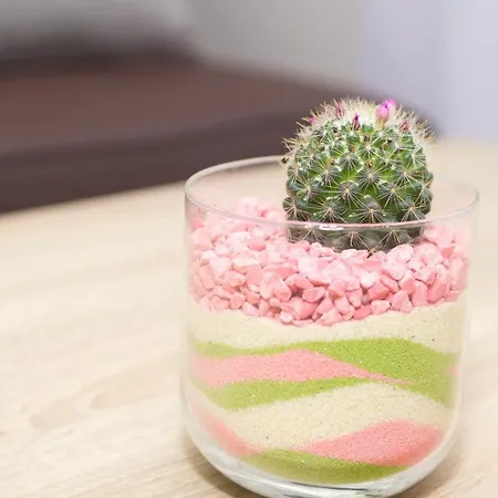 Apartment Palace 1 Djardin