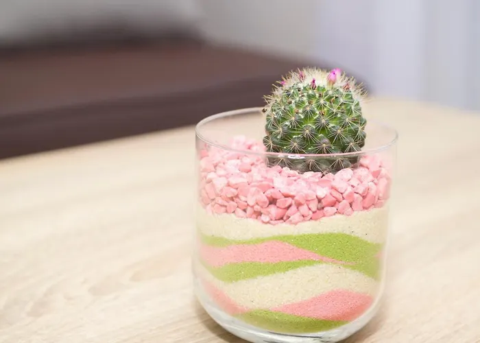 Apartmán Palace 1 Djardin